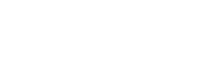 Logo Economix Workshop bianco