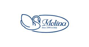Logo Molina